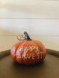 Happy Harvest Pumpkin