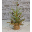 Pine Tree 12"